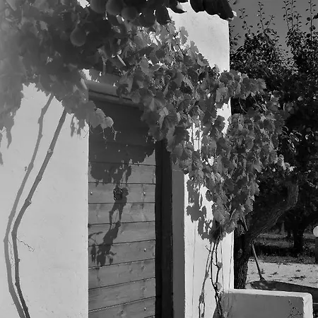 La Chianca Ritrovata - Trulli In Valle D'itria Holiday home